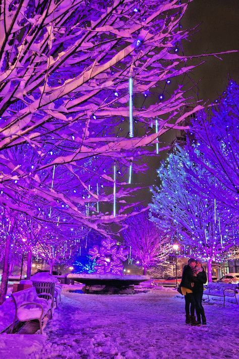 7 best places to see Christmas light displays in the Asheville, North Carolina, area - including downtown & Winter Lights. #asheville #northcarolina #christmas #holidayseason Winter Lights, Christmas Dreaming, Christmas Light Displays, Purple Christmas, Christmas Feeling, Asheville North Carolina, Winter Light, Winter Scenery, Christmas Wonderland