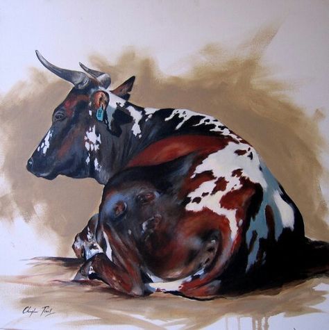 Nguni Paintings, Cattle Pictures, Nguni Cows, Nguni Cattle, Scripture Painting, Bull Painting, Cow Drawing, Bull Art, Cow Pictures