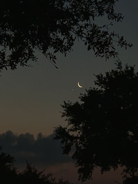 moon pretty nature tree - my own photography Moon Landscape Photography, Moon Through Trees, Moon In Forest, Moon And Trees, 13 Reasons Why Aesthetic, Moon Plant, Moon Forest, Lunar Witch, Pretty Nature Pictures