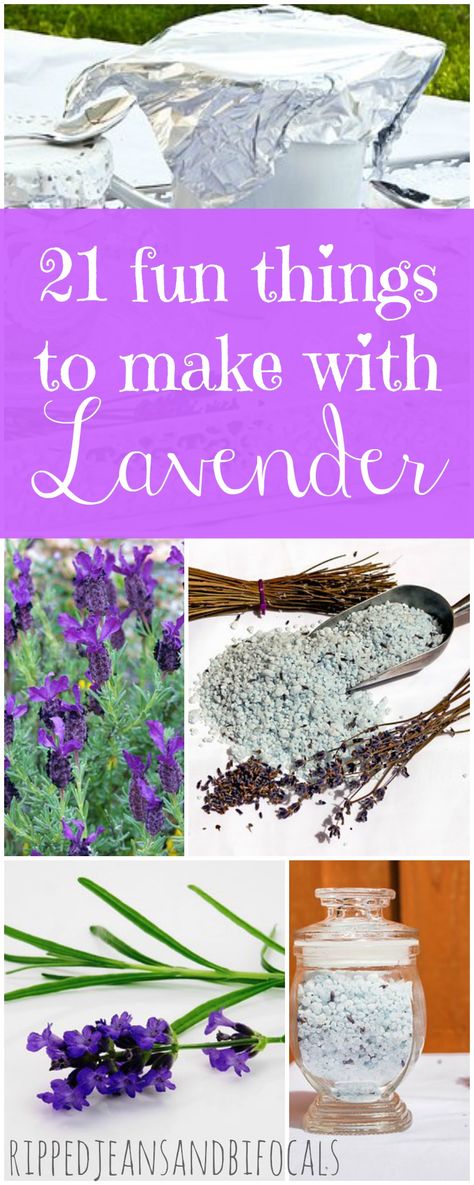 21 fun things to make with lavender|Ripped Jeans and Bifocals Bath Products Diy, Diy Lavender Gifts, Lavender Tips, Lavender Ideas, Fun Things To Make, Gift Ideas Easy, Easy Gift Ideas, Lavender Uses, Lavender Crafts