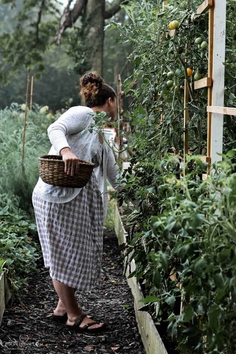 How to Start Vegetable Gardening for Beginners | Rocky Hedge Farm Inexpensive Raised Garden Beds, Cedar Raised Garden Beds, Diy Garden Bed, Building Raised Garden Beds, Cedar Garden, Vegetable Garden Raised Beds, Building A Raised Garden, Vegetable Garden For Beginners, Home Grown Vegetables