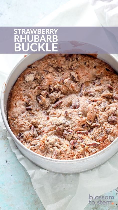 Strawberry Rhubarb Buckle. A rustic, fruit-laden cake with a custardy interior topped with a pecan streusel. A simple and delicious strawberry and rhubarb dessert! Rhubarb Buckle, Strawberry Rhubarb Cake, Dairy Free Popsicles, Rhubarb Dessert, Plum Torte, Flours Banana Bread, Strawberry Rhubarb Crisp, Rhubarb Desserts, Rhubarb Cake