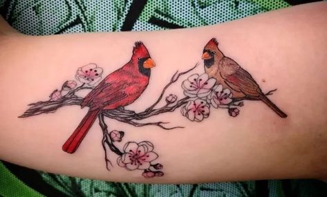 25 Awesome Cardinal Tattoos For Men And Women 1 Cardinal And Cherry Blossom Tattoo, Cardinal Tattoos For Women Simple, Cardinal Couple Tattoo, Cardinal Tattoo For Men, Cardinal And Flower Tattoo, Make And Female Cardinal Tattoo, Cardinal And Floral Tattoo, Female Cardinal Tattoo, Male Female Cardinal Tattoo