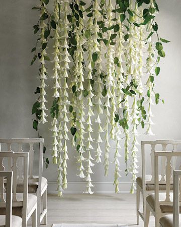 As a chandelier or ceremony marker, cascading strands of Easter lilies look like living wedding bells. Rustic Country Wedding Decorations, Flowers Hanging, Country Wedding Decorations, Lily Wedding, Easter Lily, Wedding Ceremony Backdrop, Floral Arrangements Wedding, Hanging Flowers, Ceremony Backdrop