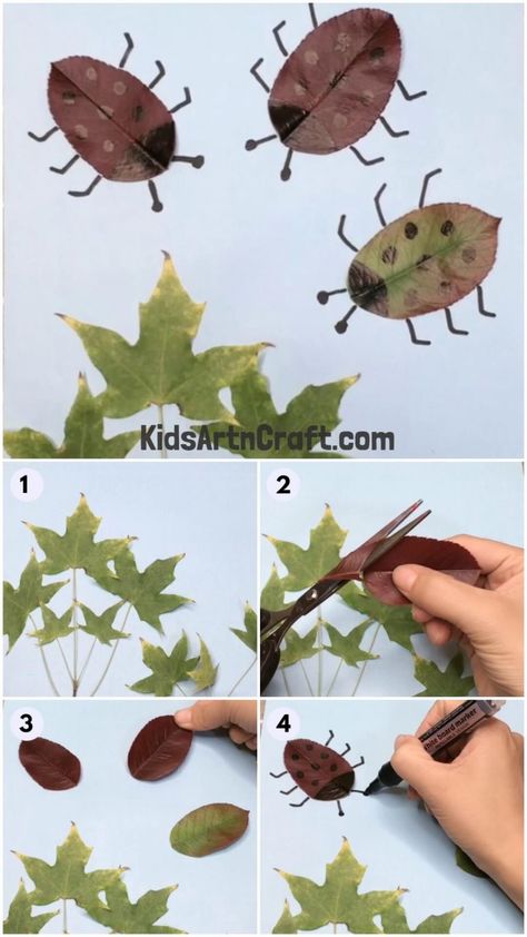 Ladybug Art & Craft Using Leaves - Step by Step Tutorial - Kids Art & Craft Leaf Bugs Craft, Leaf Insects Craft, Leaf Bug Craft, Bug Crafts For Kids, Leaf Bug, Ant Crafts, Daisy Troop, Basic Art, Insect Crafts