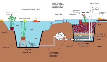 Bog Filter, Swim Pond, Plumbing Diagram, Retention Pond, Swimming Ponds, Deep Pool, Build A Garden, Pond Construction, Backyard Ponds