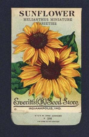 Vintage Seed Packets 1900-1940 – Page 7 – thelabelman Shelf Painting, Seed Packet Template, Sunflower Journal, Sunflower Prints, Garden Seeds Packets, Vintage Seed Packet, Seed Art, Vintage Seed Packets, Flower Seeds Packets