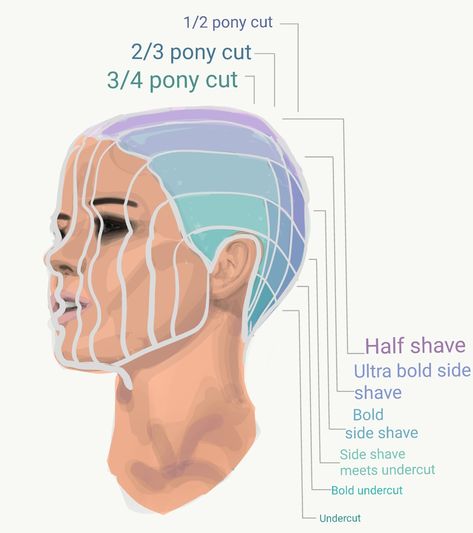 Here is a guide for shaving the side of your head. There are endless ways  to do it but this is your basic outline. Half shave, side shave, undercut, and tapered back for more of a pony tail look Shaved Side Of Head, Back Of Head Shaved, Side Shaved Hair, Short Hair Shaved Sides, Half Shaved Head Hairstyle, Shaved Long Hair, Shave Designs, Half Shaved Head, Side Haircut