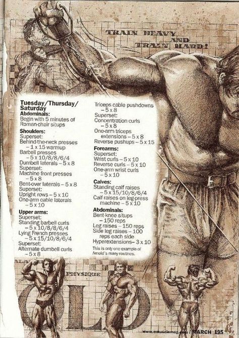 Pin by Chris Manning on WORKOUTS | Arnold schwarzenegger workout, Arnold workout, Arnold workout plan Arnold Training, Arnold Schwarzenegger Workout, Arnold Schwarzenegger Gym, Arnold Workout, Schwarzenegger Bodybuilding, Trening Fitness, Gym Workout Tips, Bodybuilding Motivation, Arnold Schwarzenegger