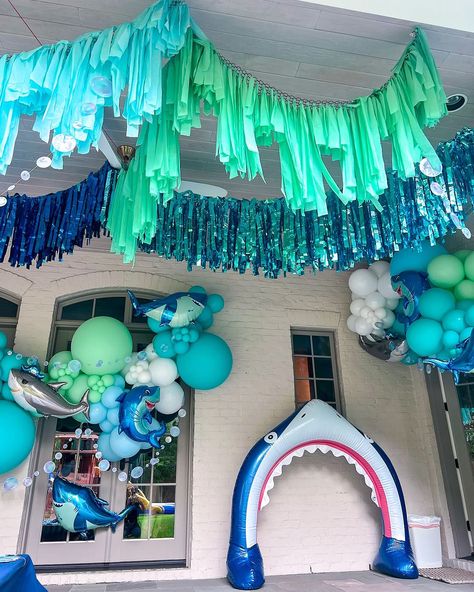 HOUSTON BALLOONS & BACKDROPS | Diving into summer 🦈🌊 Nothing like a shark party to kickoff a JAW-some summer break! ☀️ • #Houstonballoons #houstonballoondecor… | Instagram Backyard Halloween Party, Godzilla Birthday, Shark Party Decorations, Shark Themed Party, Ocean Birthday Party, Shark Themed Birthday Party, Mermaid Birthday Party Decorations, Mermaid Theme Birthday Party, Ocean Birthday