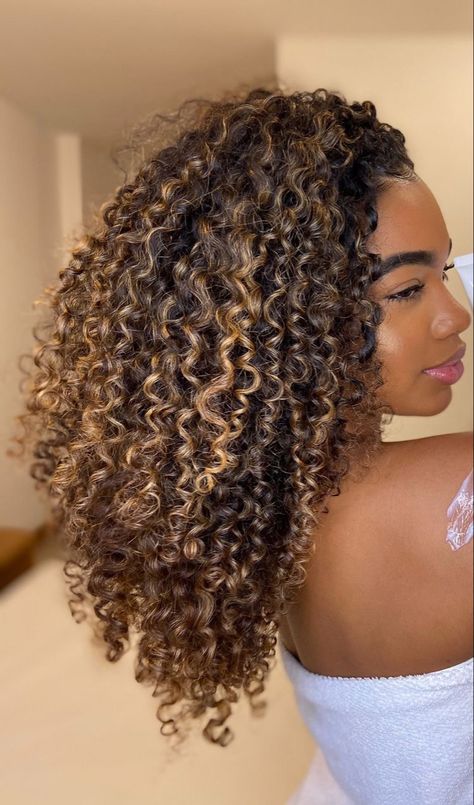 Curly Hair Color Ideas, Blonde Highlights Curly Hair, Curly Hair Color, Cabello Afro Natural, Dyed Curly Hair, Natural Curly Hair Cuts, Highlights Curly Hair, Mixed Curly Hair, Honey Brown Hair