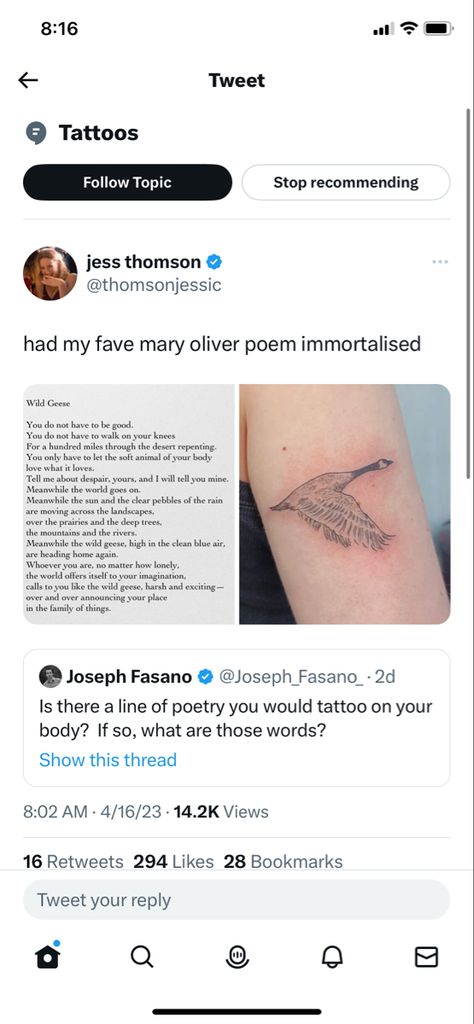 Mary Oliver Tattoo Ideas, Wild Geese Mary Oliver Tattoo, Emily Dickinson Tattoo Ideas, Wild Geese Tattoo, Mary Oliver Tattoo, Poetry Tattoos, Oliver Tattoo, Sylvia Plath Tattoo, Literature Tattoos