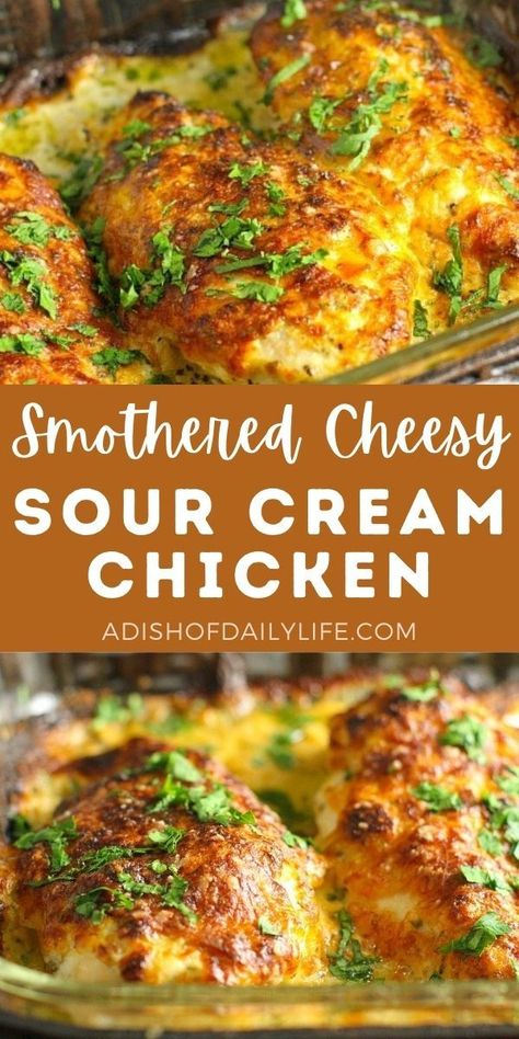 Smothered Cheesy Sour Cream chicken...an easy weeknight dinner the whole family will love (even the pickiest of eaters)! Italian Soffrito, Chicken With Sour Cream, Cheesy Sour Cream Chicken, Healthy Sour Cream, Cream Chicken, Chicken Breast Recipes Baked, Sour Cream Chicken, Sour Cream Recipes, Chicken Recipes Casserole