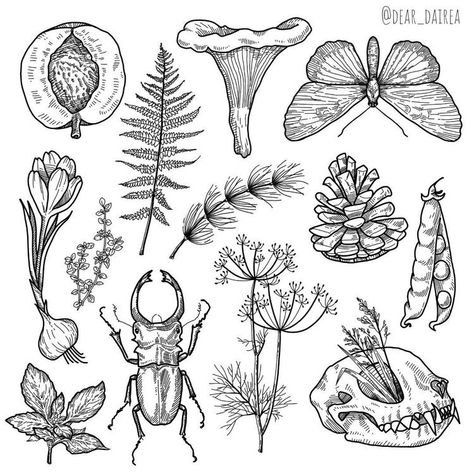 Weird Tattoo Ideas, Snowglobe Tattoo, Seed Tattoo, Natur Tattoo Arm, Art Tattoo Flash, Rework Clothes, Botanical Pictures, Illustrative Tattoo, Journal Sketches