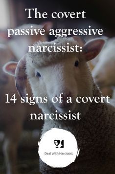 Covert Vs Overt Narcissism, Empath Vs Narc, Narcissistic Behavior List, Covert Narcissistic Behavior Husband, Female Covert Narcissistic Behavior, Signs Of Covert Narcissism, Covert Narcissistic Mother In Law, How To Deal With Haters, Narcistic Quotes