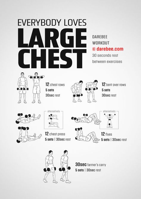 Everybody Loves Large Chest Workout Dumbell Home Workout For Men, Chest Day Dumbbell Workout, Dumbell Workout Chest, Best Dumbbell Chest Workout, Chest Workouts Dumbbell, Floor Chest Workout, Dumbbell Workout For Chest, Chest Workout Beginner, Standing Chest Dumbell Workout