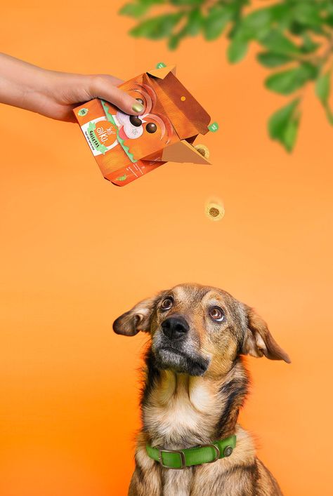 Dog Products Photography, Treats Packaging Ideas, Dog Food Product Photography, Pet Product Photography, Dogs And Puppies Wallpaper, Dog Product Photography, Dog Treats Packaging, Dogs Photoshoot, Puppies Wallpaper