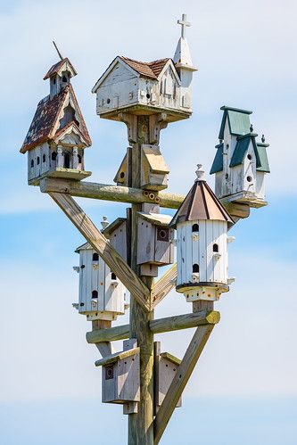 Birdhouse Projects, Homemade Bird Houses, Beautiful Birdhouses, Bird Houses Ideas Diy, Birdhouses Rustic, Garden Birdhouses, Wooden Bird Houses, Bird House Plans, Unique Bird Houses