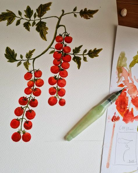 Watercolour Tomato, Tomato Illustration, Tomato Drawing, Watercolor Tomatoes, Wreath Illustration, Heirloom Tomatoes, Painting Tile, Botanical Illustration, Watercolour Painting