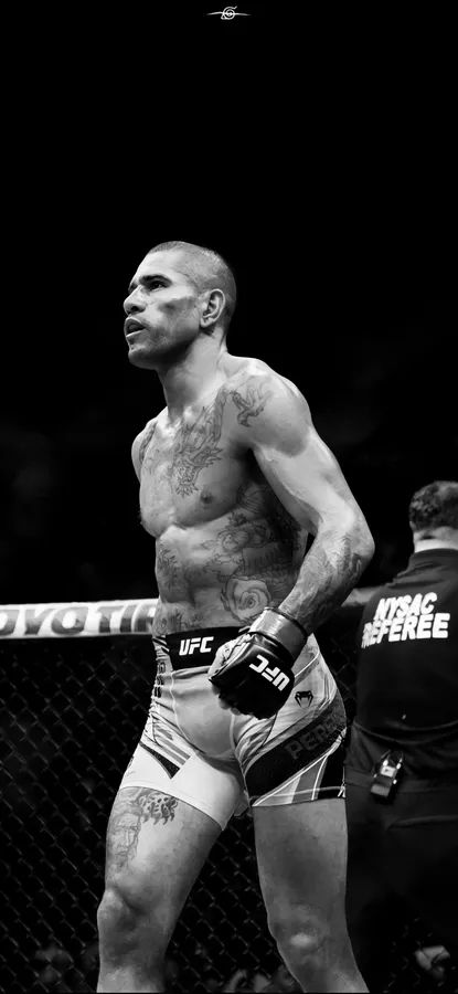 Alex Pereira Wallpaper, Walking Wallpaper, Bjj Wallpaper, Alex Pereira, Ufc Boxing, Legendary Pictures, Boxing Posters, Messi Vs, Ufc Fighters