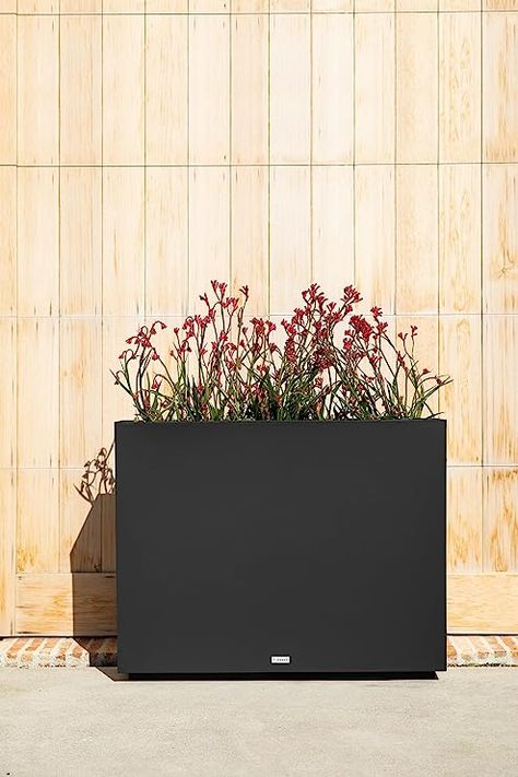 This planter pot is made from a durable, commercial grade polypropylene plastic that is scratch, UV and crack resistant. Available in black, white or gray! 30"H x 10"W x 38"L Rectangular Planter Box, Plastic Planter, Rectangular Planters, Patio Planters, Plastic Planters, Metal Screen, Modern Planters, Tall Plants, Fence Panels