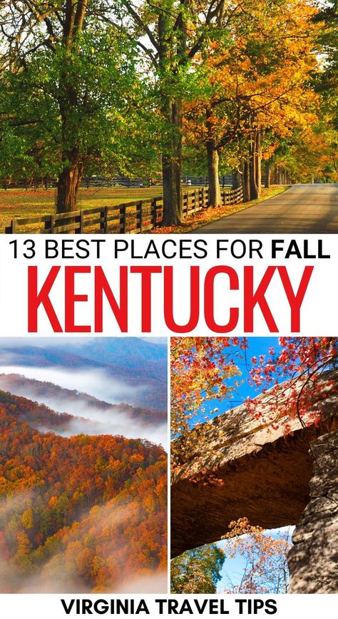 Are you looking for some cool places to spend fall in Kentucky? This guide shows where to find the best Kentucky fall foliage, leaf-peeping, festivals, and more! | Kentucky fall | Autumn in Kentucky | KY fall | KY fall foliage | Fall foliage in KY | What to do in Kentucky in fall | Things to do in Kentucky in Fall | Fall in Lexington KY | Fall in Louisville KY | Leaf peeping in Kentucky | Kentucky leaf peeping Things To Do In Kentucky, Fall Weekend Getaway, Kentucky Vacation, Fall Foliage Road Trips, Kentucky Travel, Fall Road Trip, Cool Places, Virginia Travel, Leaf Peeping