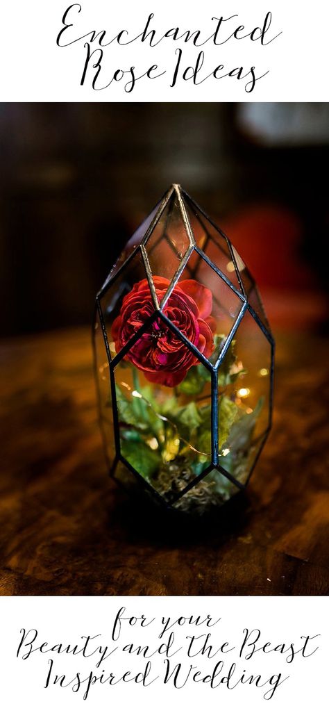 27 Enchanted Rose Ideas For Your Beauty and the Beast Inspired Wedding - A PRINCESS INSPIRED BLOG Beauty And The Beast Decor, Fairytail Wedding, Hispanic Wedding, Beauty And The Beast Wedding Theme, Rose Ideas, Beauty And The Beast Wedding, Enchanted Characters, Beauty And Beast Wedding, Beauty And The Beast Theme