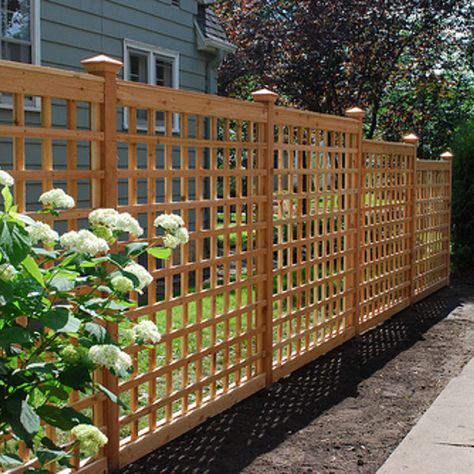 Expert Advice for Building a Lattice Trellis in Your Garden Lattice Garden, Wire Trellis, Trellis Fence, Lattice Trellis, Wooden Trellis, Patio Pergola, Diy Trellis, Lattice Fence, Pergola Design