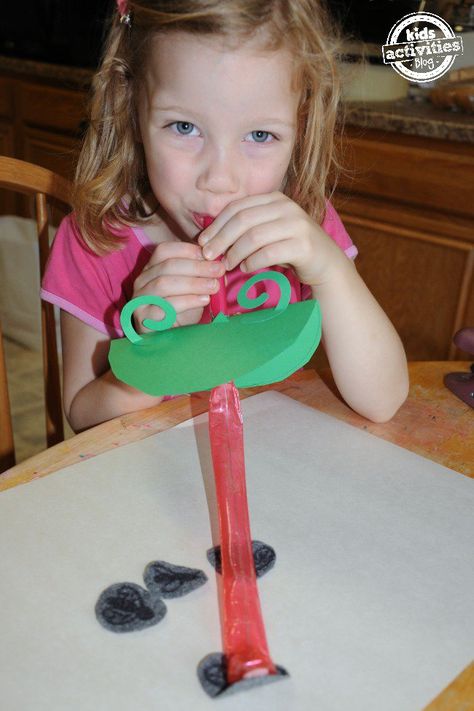 This is the cutest frog craft that explores the benefits of having a sticky tongue! Could be used as a science craft or an afternoon boredom buster. Oral Motor Activities, Frog Craft, Frog Activities, Party Blowers, Frog Theme, Oral Motor, Frog Crafts, Science Crafts, Pediatric Therapy