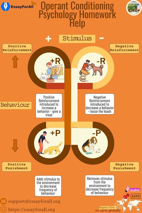 If you need timely, affordable, and professional operant conditioning homework help, place your order now!    We have competent tutors with good operant conditioning knowledge who can handle various psychology assignment questions.   Dive into the article to learn more and practise DIY Operant Conditioning Psychology, Branches Of Psychology, Operant Conditioning, Psychology Studies, Cognitive Psychology, Developmental Psychology, Homework Help, Positive And Negative, Psych