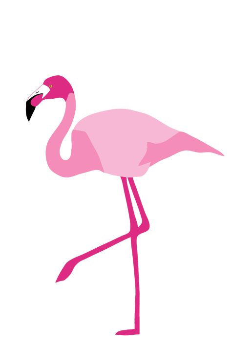 Dibujo de un flamenco Flamingo