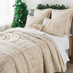 Cozy Christmas Bedroom Aesthetic, Country Chic Bedroom, Quilt Bedding Sets, Holiday Bed, Queen Size Bedspread, Holiday Bedroom, Twin Quilt Size, Comforter Bed, Christmas Bedding