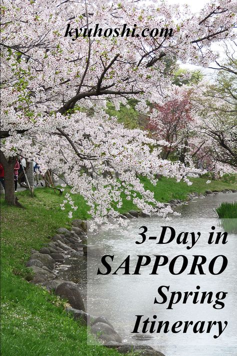 Do you want to see cherry blossom in Sapporo? This 3-day suggested itinerary has everything you need to know to plan the perfect trip to Sapporo city in the spring. Sapporo Itinerary, Hokkaido Spring, Cherry Blossom Bedroom, Sapporo Beer, Japan Spring, Row Boats, Japan Itinerary, Sapporo, Okinawa