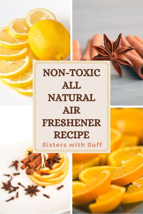 Organic Air Freshener, Crockpot Air Freshener Recipes, Homemade Air Freshener House Smells, Homemade Room Freshener, Frugal Challenge, Diy Air Freshner, Herbal Diy, Air Freshener Recipes, Air Refresher