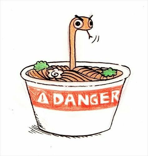 Danger Noodle, A Drawing, Reptiles, Noodles, Flamingo, D Art, Bowl, Tattoos, Art