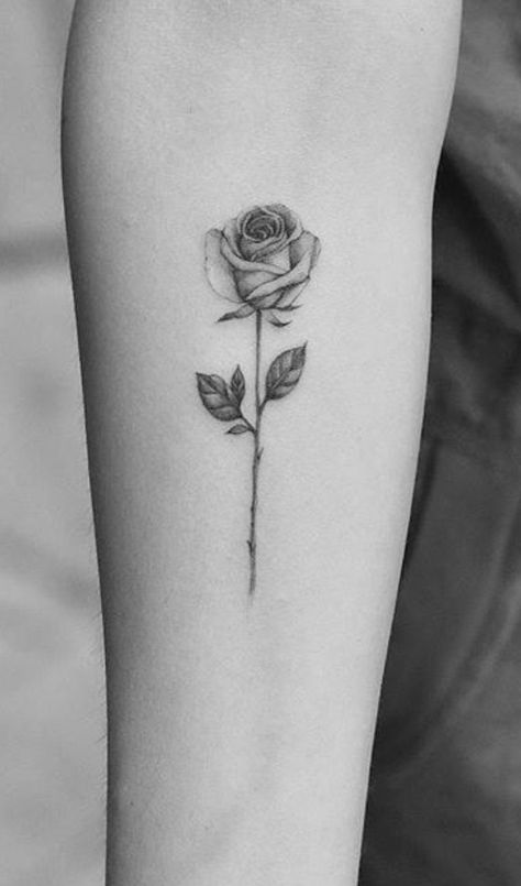 Black Rose Forearm Tattoo, Rose Forearm Tattoo, Tattoo Jungkook, Tattoo Ideas Small Simple, Rose Stem Tattoo, Rose Tattoo On Side, Jungkook Tattoo, Forearm Tattoo Ideas, Single Rose Tattoos