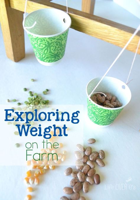 Exploring Weight on the Farm. Learn about different crops, create a DIY balance and more! A great STEM project for a farm theme! Farmer Activities, Harvest Preschool, Farm Curriculum, Best Farm Animals, Farm Classroom, Farm Activities Preschool, Preschool Farm, Grain Bins, Farm Lessons