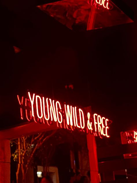 Wild And Free Aesthetic, Neon Red Pictures, Young Wild And Free Aesthetic, Dark Bohemian Decor, Neon Red Astethic, Aesthetic Rooftop, Rooftop Bar Design, Red City Night Aesthetic, Red Car Night Aesthetic