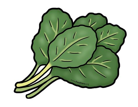 Collard Greens Illustration Green Vegetables Drawing, Vegetables Drawing For Kids, Plants Drawings, Vegetables Drawing, Recipe Book Printables, Green Leafy Vegetables, Healthy Food Logo, Vegetable Drawing, Scrapbook Letters