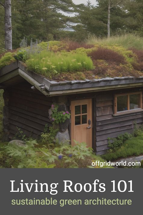 Immerse yourself in the wonder of green architecture with our guide on living roofs. Discover how these eco-friendly rooftops can contribute to sustainability, reducing energy costs, and enhancing urban biodiversity. A solution for the future, tied back to nature's wisdom. Explore the transformative power of living roofs! 🌱 #livingroof #greenroof #livingroofs Living Roof Garden, Eco Architecture Sustainable Living, Living Roof House, Urban Biodiversity, Sustainable Green Architecture, Green Roof Planting, Eco Roof, Living Green Roof, Green Roof Building