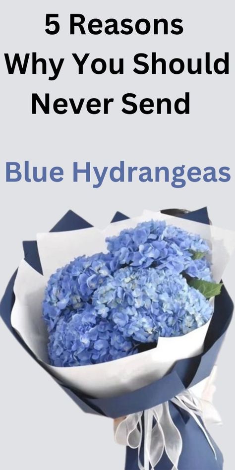 Blue hydrangeas have negative meanings associated with them hence not ideal flowers to send or gift in bouquets. Simple Hydrangea Arrangements, Blue Hydrangea Floral Arrangements, Hydrangea Flower Arrangements Vase, Diy Hydrangea Bouquet, Blue Hydrangea Flower Arrangements, Hydrengas Bouquet Ideas, Fake Hydrangea Arrangements, Flower Arrangements With Hydrangeas, Hydrangea Arrangements Centerpieces