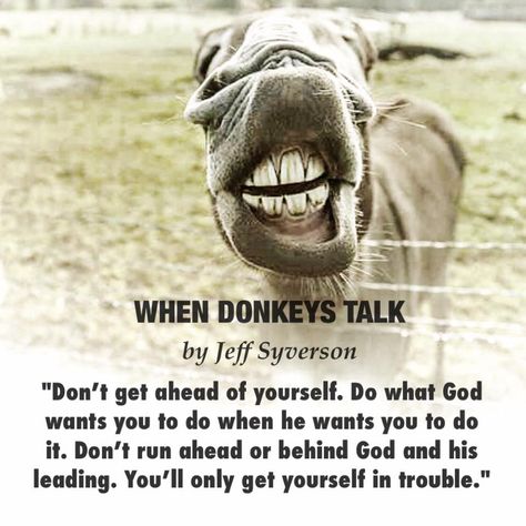 When Donkeys Talk (Mar 15) Donkey Spirit Animal Meaning, Donkey Quotes Life, Jesus Enters On A Donkey, Donkey Images, Donkey Drawing, Donkey Staring, Spiritual Eyes, Donkey Memes Funny, Proverbs 11