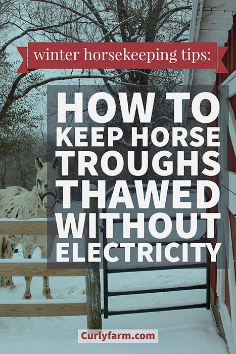 taking care of horses in winter storms Horse Stall Feeders, Salt Water Jugs For Horse Trough, How To Keep Water Troughs From Freezing, Horse Water Trough Ideas, Horse Feeder Ideas, Taking Care Of Horses, Horse Stalls Diy, Horse Water Trough, Horse Slow Feeder