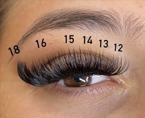 #Hybrid_Set_Eyelash_Extensions_Mapping #Mapping_For_Hybrid_Lashes #17_Mm_Eyelash_Extensions #Cat_Eye_Volume_Lash_Extensions_Mapping 17 Mm Eyelash Extensions, Hybrid Set Eyelash Extensions Mapping, Cat Eye Volume Lash Extensions Mapping, Volume Cat Eye Mapping, Cat Eye Lash Extensions Mapping, Cat Eye Mapping Eyelash Extensions, Volume Cat Eye Lash Extensions Mapping, Lash Mapping Eyelash Extensions Hybrid, Hybrid Lash Extensions Mapping