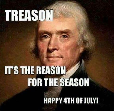 Treason Fourth Of July Meme, 4th Of July Meme, Fourth Of July Quotes, 4th Of July Images, July Images, July Quotes, Funny 4th Of July, Happy Fourth Of July, Happy 4th Of July