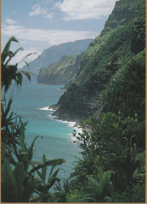 cte-de-n-pali-le-de-kauai-hawaii---photo-de-ron-dahlquist_23555382168_o  #vintage #retro #travel #ads #poster #traveling #USA #postcards #pictures #art #Hawaii 80s Hawaii Aesthetic, 90s Hawaii Aesthetic, Hawaii Vintage Aesthetic, Retro Tropical Aesthetic, Hawaii Aesthetic Vintage, 2000s Hawaii Aesthetic, Retro Hawaii Aesthetic, 60s Hawaii Aesthetic, Retro Beach Photos