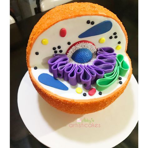 Animal cell sphere cake Sphere Cake Ideas, Animal Cell Cake Project, Animal Cell Project Ideas, Animal Cell Cake, Plant Cell Cake, Cell Project Ideas, Edible Cell Project, Cell Cake, Edible Cell