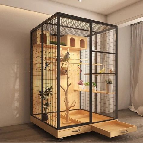 Macaw Enclosure, Parrot Cage Ideas Design, Lovebirds Cage Ideas, Parrot Room, Bird Enclosure, Degu Cage, Bird Room Ideas, Parrot Aviary, Macaw Cage