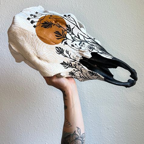 Shop Hand Painted Cow Skulls and Other Unique Canvases — Wild Hare Studio Cow Skull Art Ideas, Diy Cow Head Decor, Painted Cow Skull Ideas No Horns, Painting Cow Skulls, Painted Deer Skulls Ideas, Painted Buffalo Skull, Cow Bone Crafts, Cow Skull Painted, Painted Deer Skulls Diy