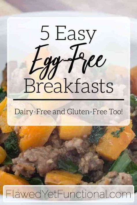 Are you looking for healthy egg-free breakfasts? Try these 5 easy egg, gluten and dairy-free breakfasts that will please the whole family! #recipe #paleo #eggfree #dairyfree #glutenfree Dairy Egg Free Breakfast, Gluten Free Egg Free Breakfast, Egg Free Breakfast Ideas, Gluten Free Pantry, Egg Free Breakfast, Flat Roman Shade, Dairy Free Breakfasts, Healthy Eggs, Gluten Free Egg Free